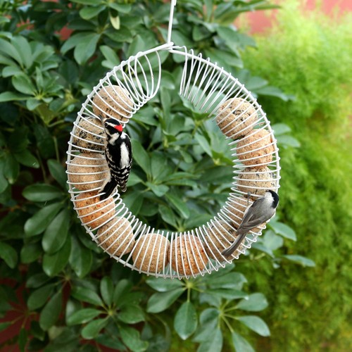 Pacific Bird & Supply Co Mealworm + Mixed Nut Suet Balls (12 Pack) - 第 4/5 張圖片