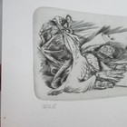 Bild 6 von 11