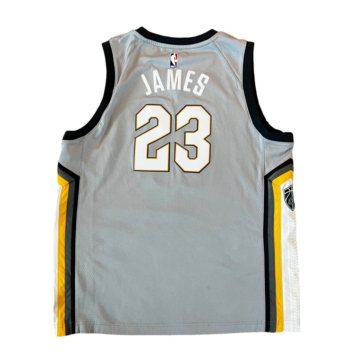 Amazon.com: Mitchell & Ness James Lebron 23 Replica Swingman