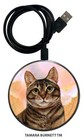 Tabby Cat Zoomies Phone and Device Charger