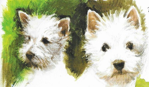 West Highland White Terrier - CUSTOM MATTED - Vintage Dog Art Print - Poortvliet