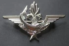 ORIGINAL FRENCH FOREIGN LEGION 1ST RE DINOPS DIVER QUALIFICATION WING BADGE #1