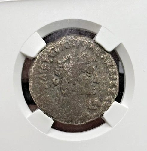Galba Egypt Alexandria BI Tetradrachm Yr 1 AD 68 NGC Ch F TWELEVE CESARS