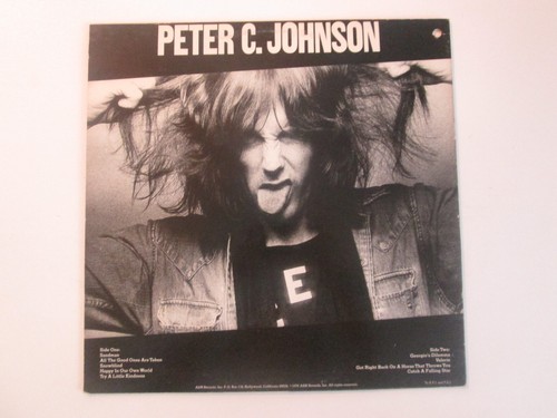 Peter C. Johnson Boston Bruce Springsteen 1978 White Label Promo LP - Picture 2 of 2