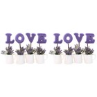  2 stücke Liebe Mini Künstliche Pflanzen Set Kleine Topfpflanzen Simulation