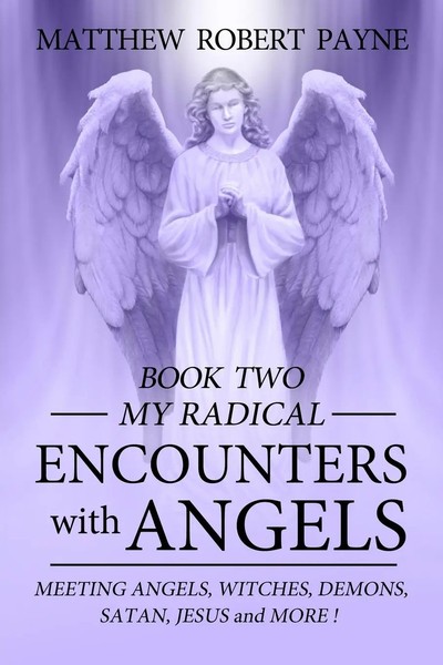 Matthew Robert Payne | My Radical Encounters With Angels | Taschenbuch (2016)-image