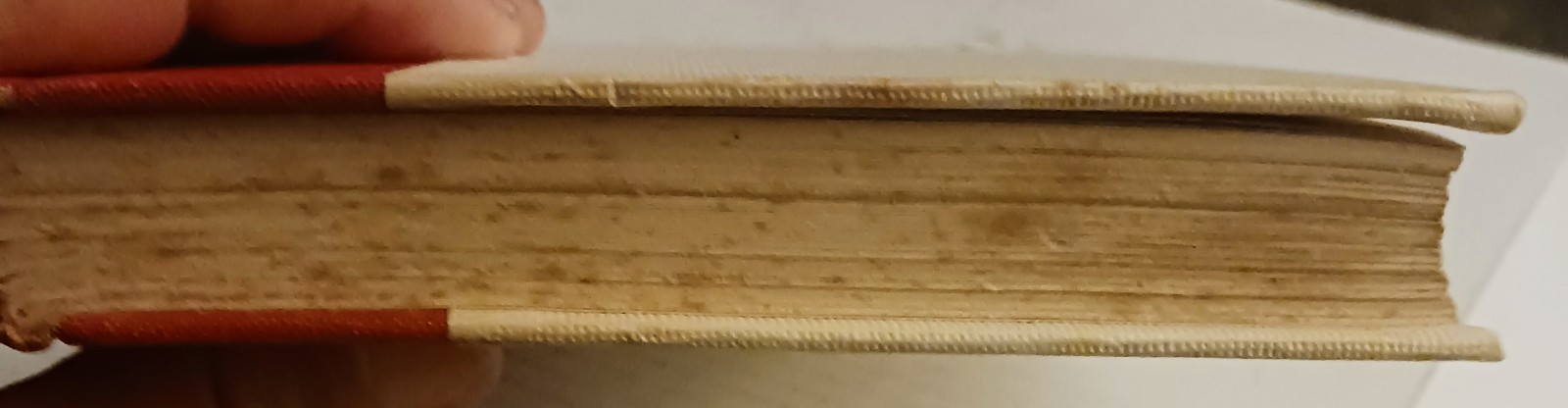 Picture 5 of 10