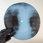 LED ZEPPELIN WHAOLLA LOTTA LOVE X-Ray USSR Record Roentgen Bone Ribs Music Vinyl