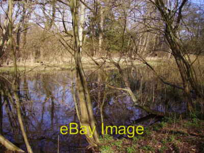 Foto 6x4 Barton Stacey - River Dever Schilfbeete Schilfbeete am Fluss D c2008