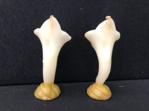 Vintage Pair of Jack in the Pulpit Wax Candles, 5 Inch, Decoration - Picture 4 of 4