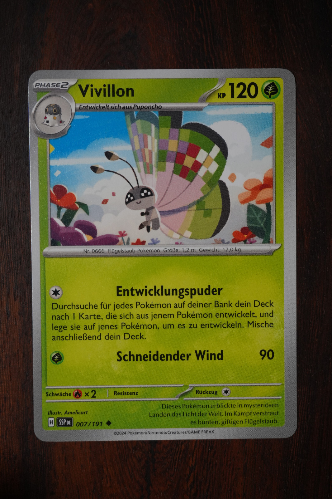 Bild 7 von 208