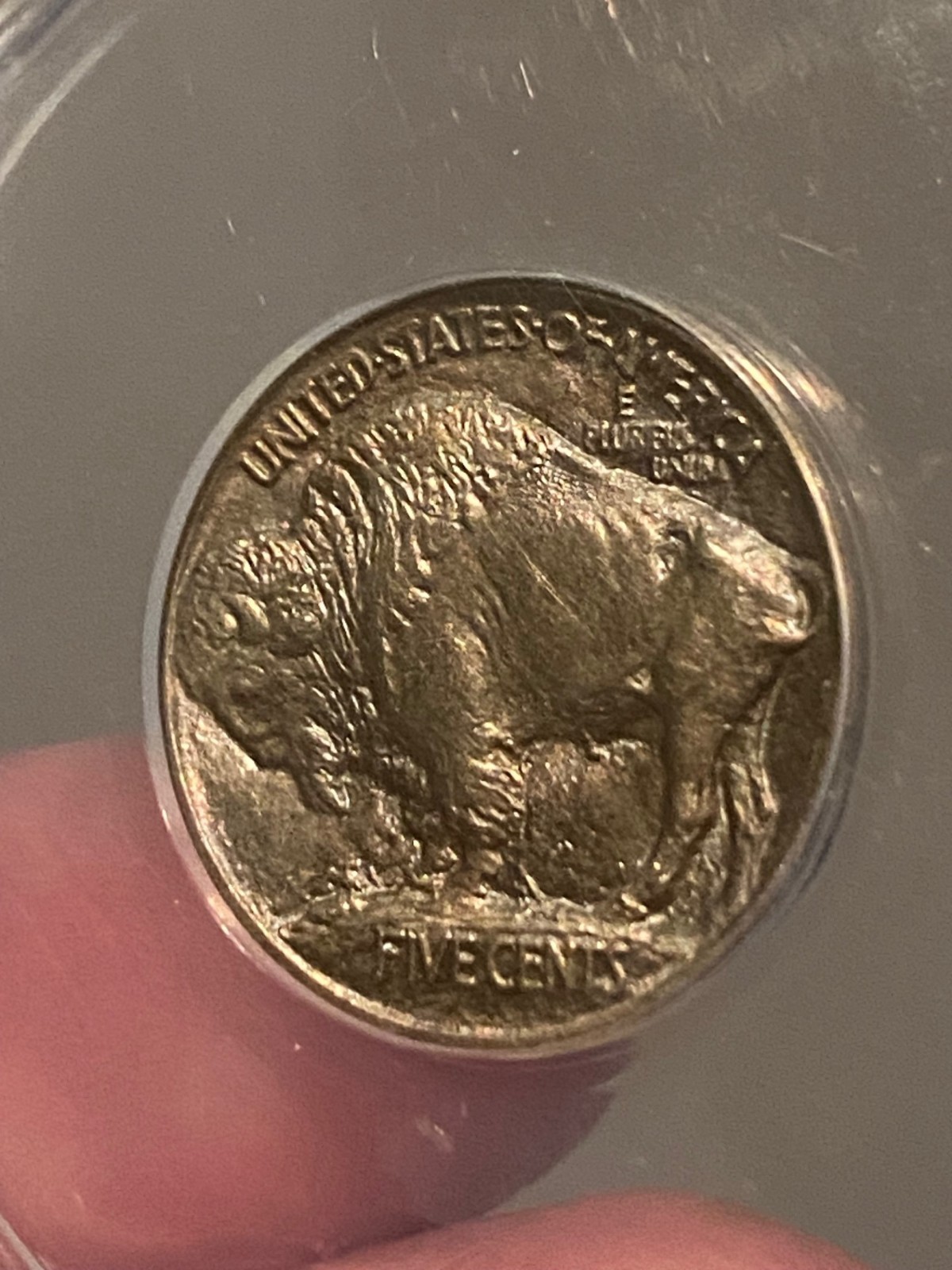 Picture 12 of 15