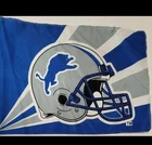 Detroit Lions flag 3 x 5 ft indoor outdoor Double Sided banner new