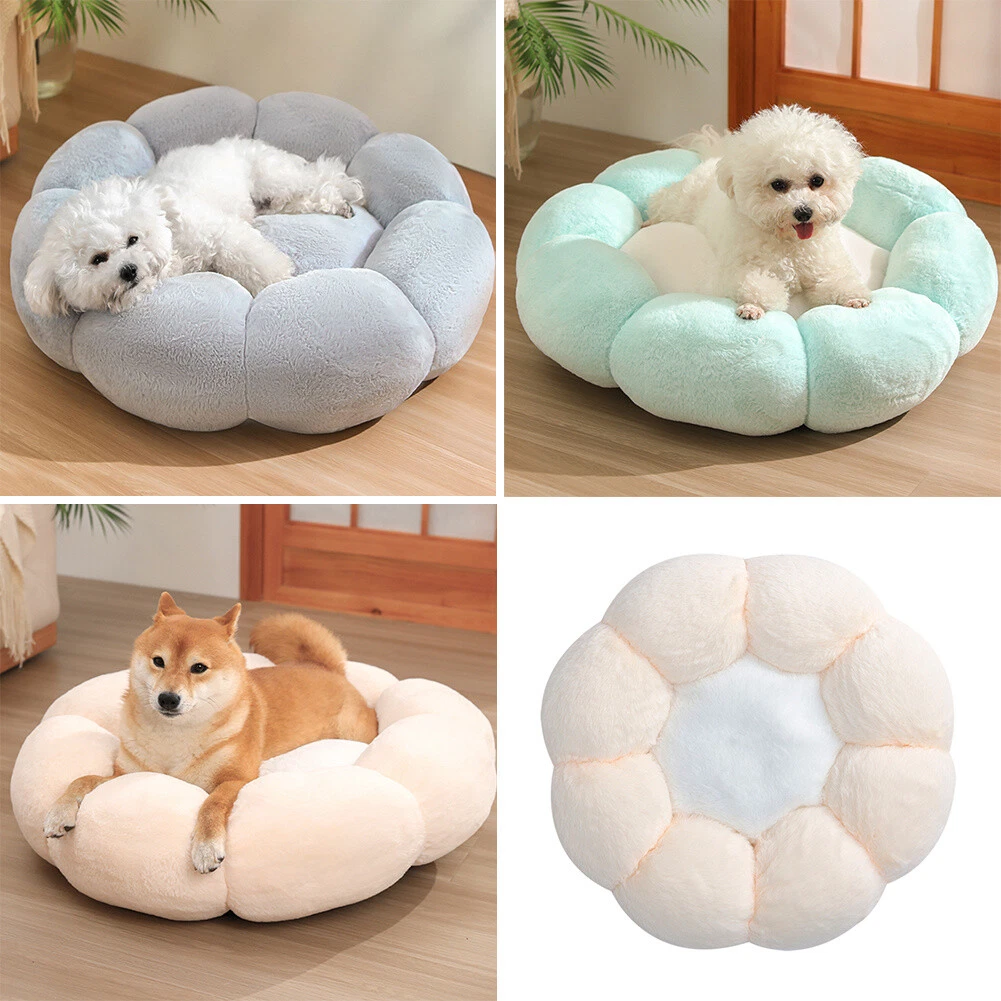 Toy dog best sale bed