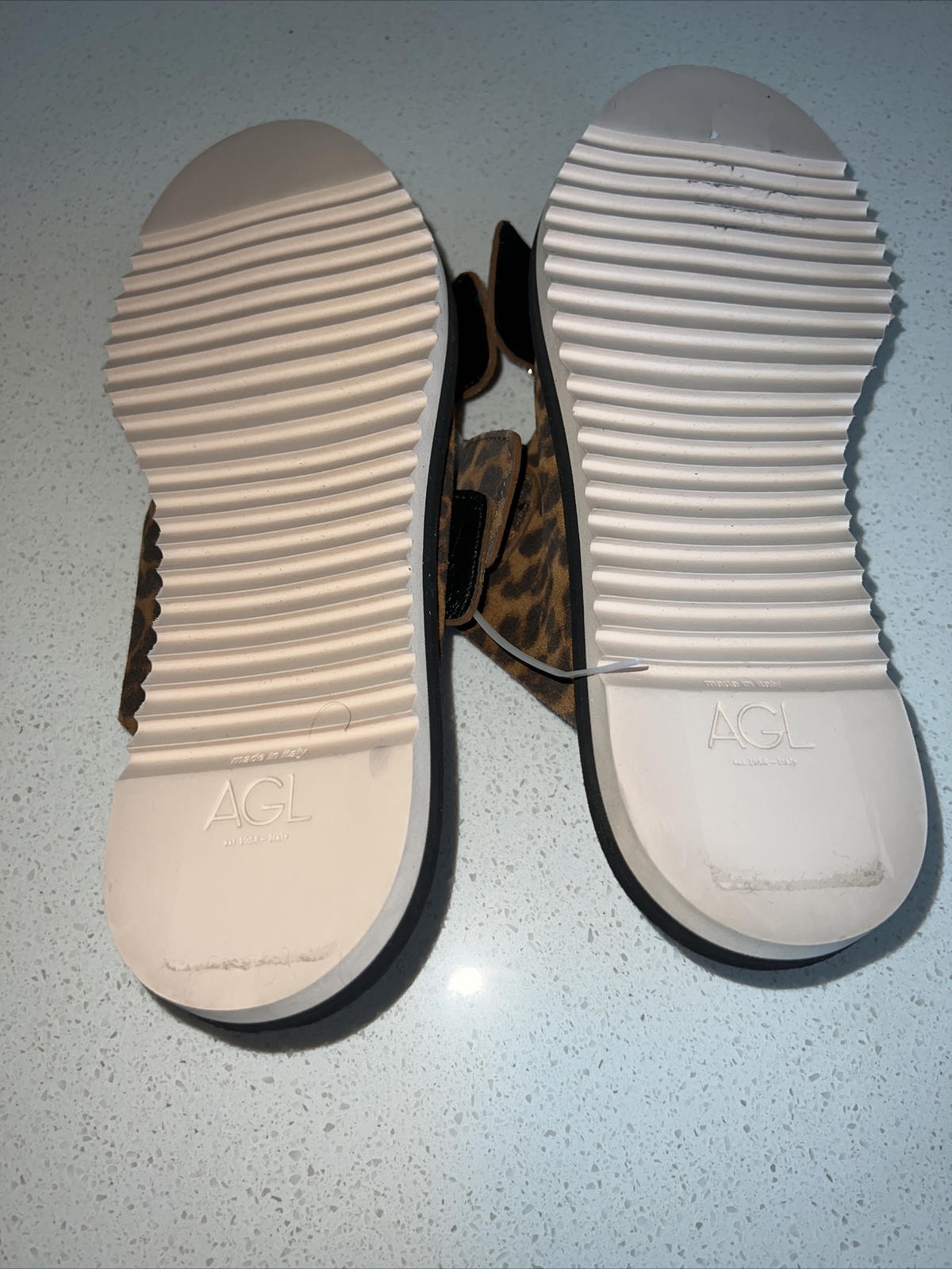 Picture 5 of 5