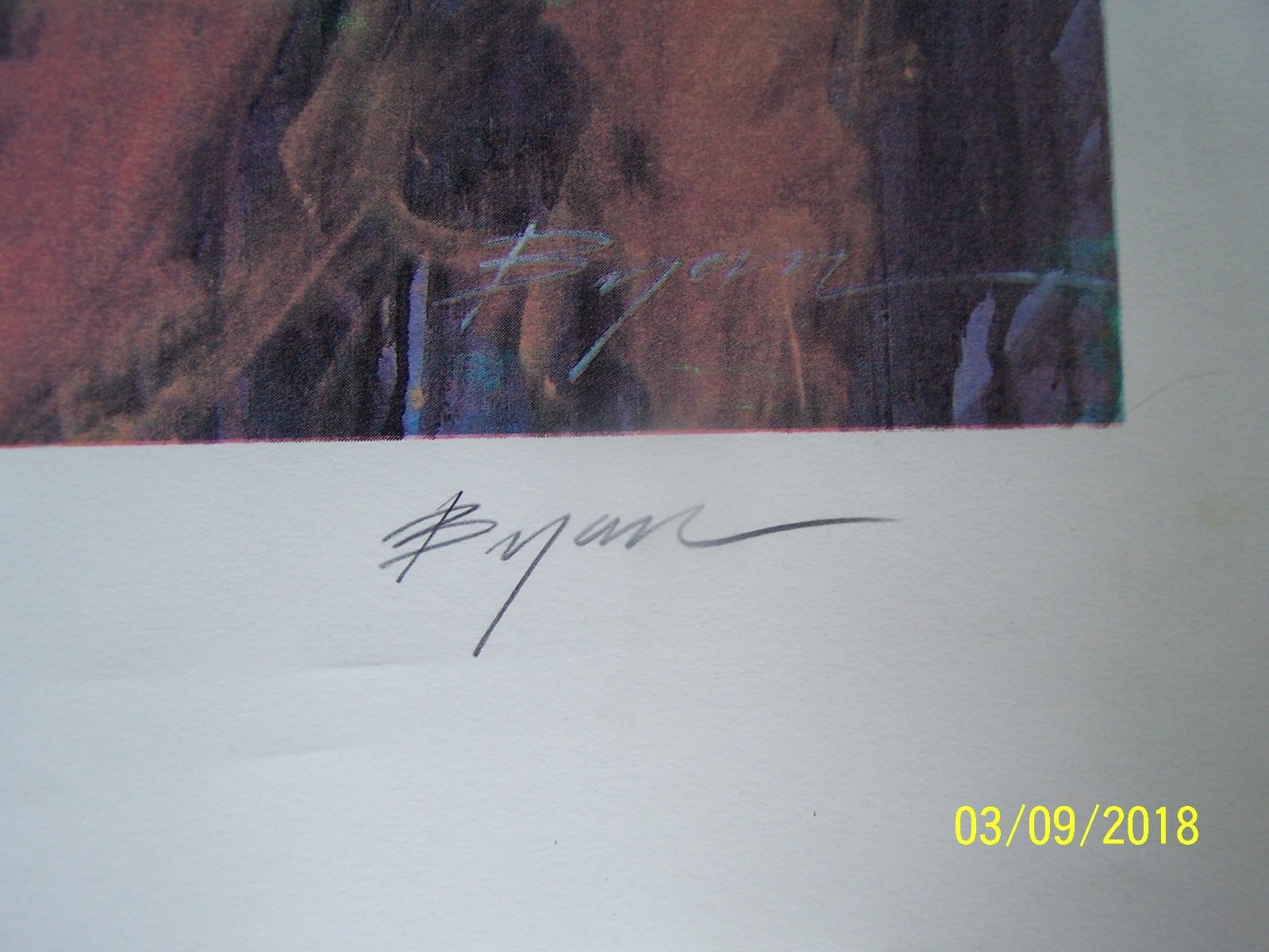 Picture 4 of 8