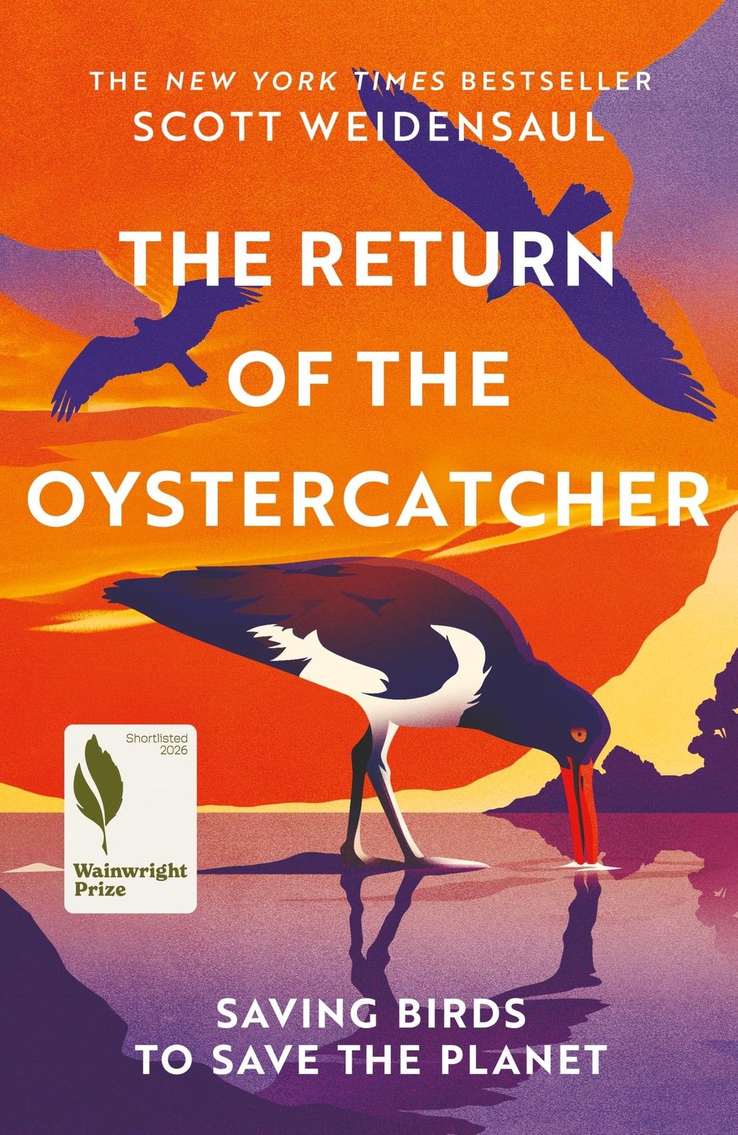 The The Return of the Oystercatcher: Saving by Scott Weidensaul (HB 2026) - Image 8
