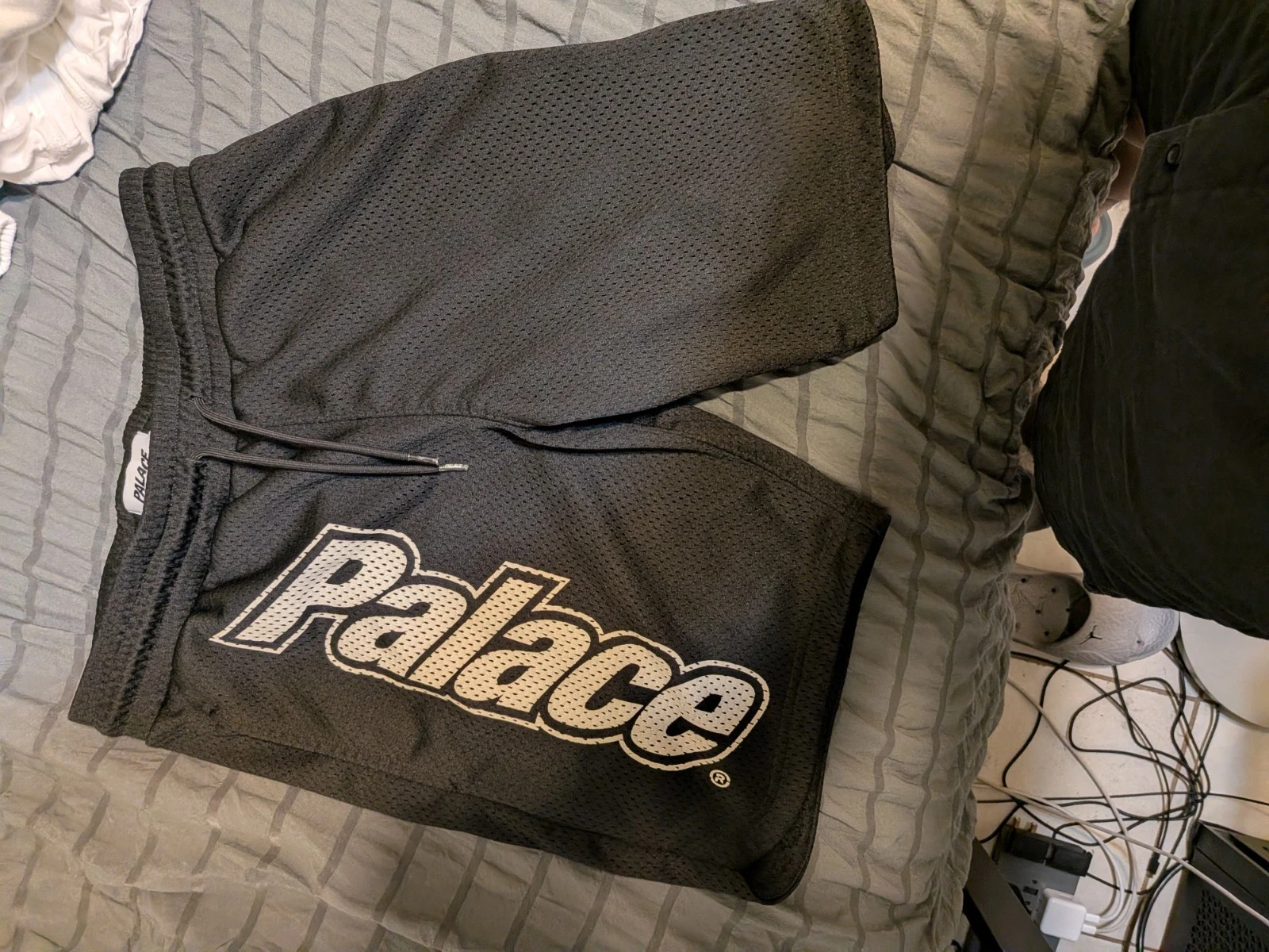 Palace Shorts