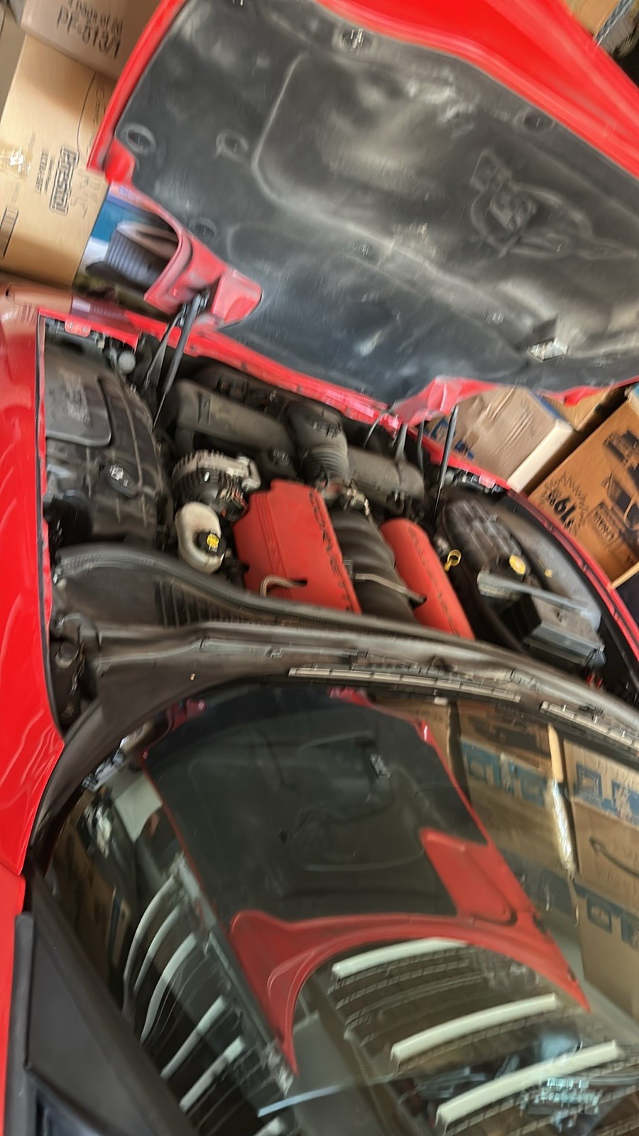 2004 Red Chevrolet Corvette   | C5 Corvette Photo 7