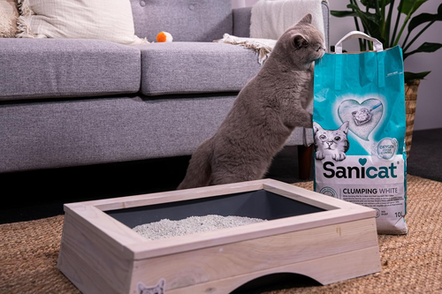 Sanicat - Bianco - Lettiera per Gatti Ultra Grumpante Senza Profumo | Realizzato in Min Naturale - Foto 5 di 12