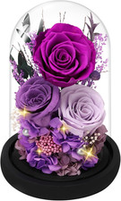 Preserved Roses Flowers for Delivery, Mothers Day Rose Gifts for Mom