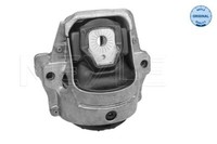 Meyle 100 199 1007 Lagerung, Motor For Audi