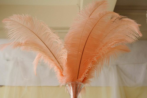 Sale Long Quality Ostrich Feathers Costume Ornament Wedding Party Plume 40-45cm - Picture 34 of 36