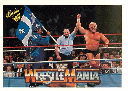 1990 CLASSIC HISTORY OF WRESTLEMANIA WWF WWE CARD PICK SINGLE CARD YOUR CHOICE - Bild 81 von 142