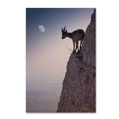 1X00013-C2232GG Canvas Art, 22x32