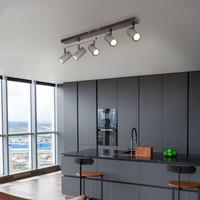 Deckenlampe Deckenleuchte Esszimmerleuchte Grau Spotlampe Beweglich 5 Flammig