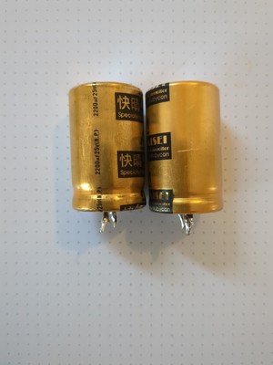 Audio Note Kaisei  2200uf 25v