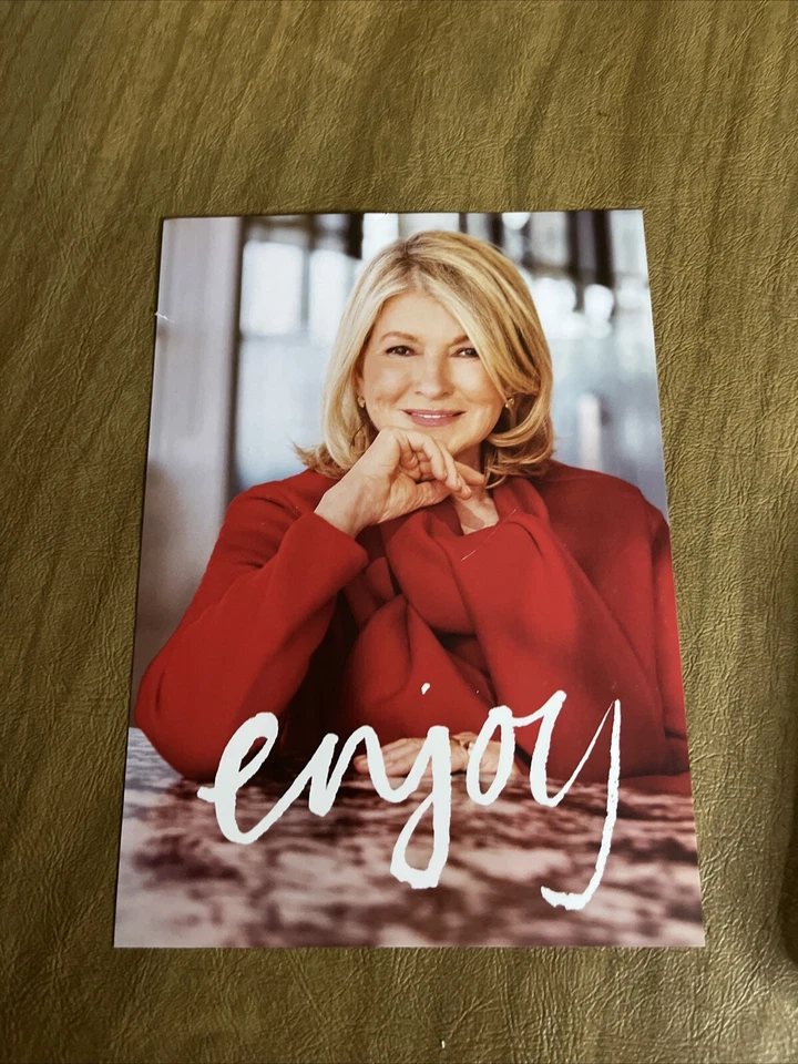 Martha Stewart Christmas Gingerbread Bear Plate Set Of 4 Brand New - Image 2 of 4