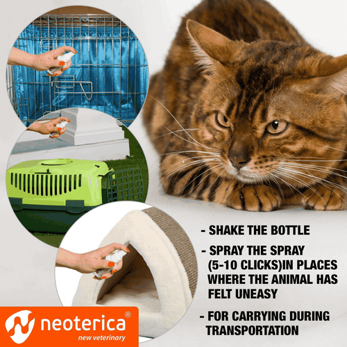 Calming Pheromone Spray Scratch Repellent for Cats Reduce Stress During Travel - Picture 6 of 7