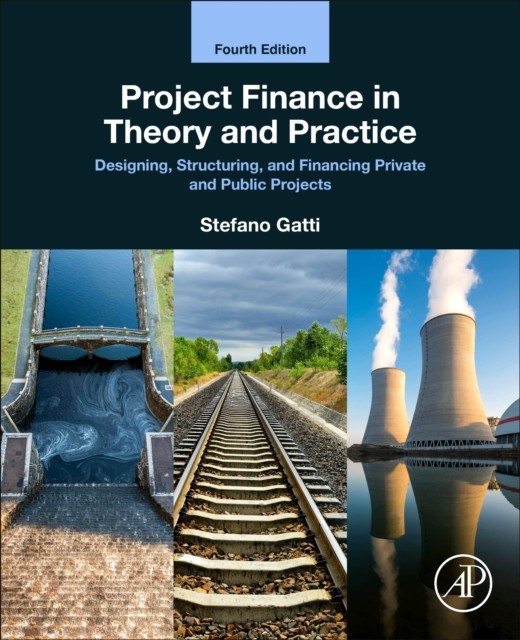 Project Finance in Theory and Practice by Stefano  Gatti (Paperback Book)