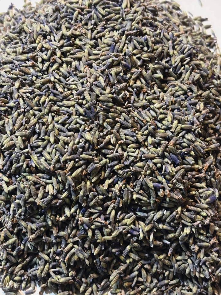 Brotes de lavanda seca fresca de GROSSO (variedad francesa) tiene un aroma muy fuerte Foto 2 de 4
