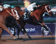 Mucho Macho Man 2013 BC Classic Finish Photo 8" x 10" Signed Gary Stevens