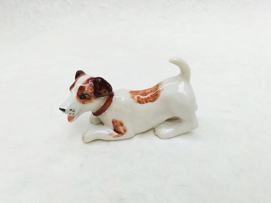 Micro jack russell 2025