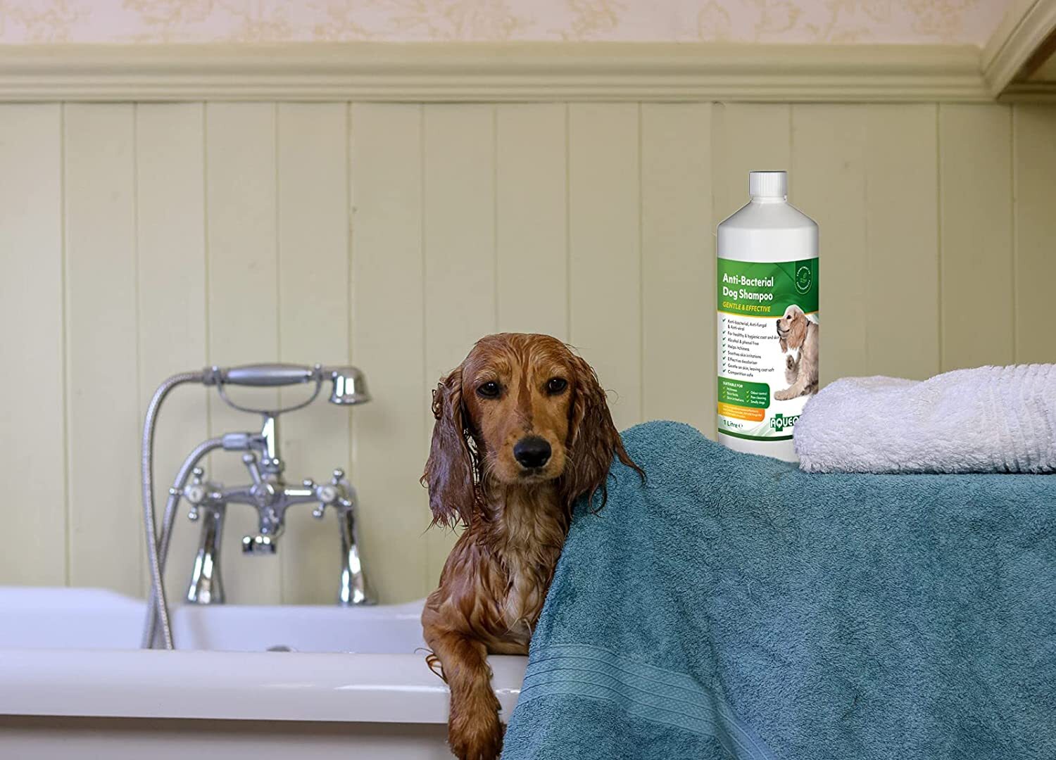 Aqueos AntiBacterial Dog Shampoo Anti Itch Odour Removing Grooming 1