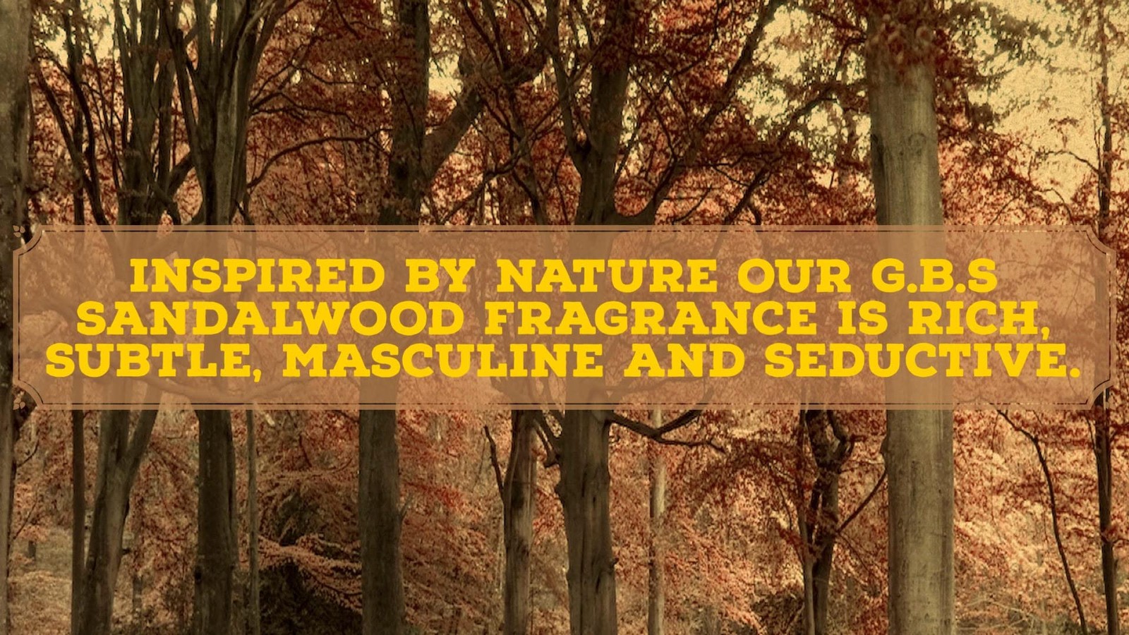 Sandalwood Shaving Soap 3oz Round Moisturizing Natural Ingredients Men Grooming