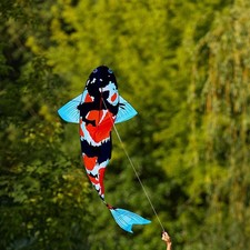 Large Koi Fish Kite 3D for Adults Children Beginner for Park Beach Backyard