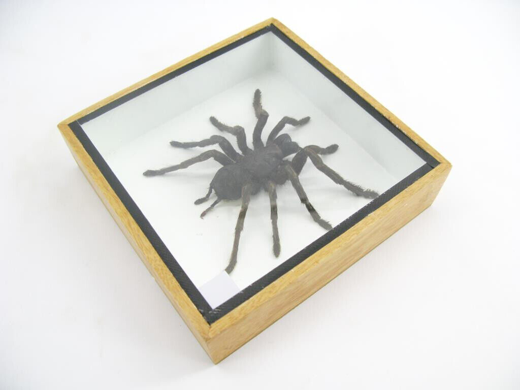 Bild 8 von 12