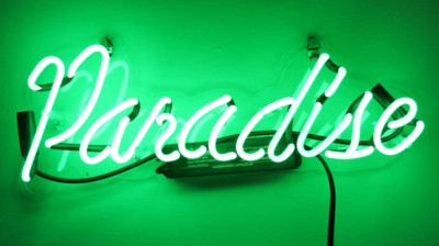 17'' New Paradise Green Acrylic Neon Sign Light Lamp Glass Visual Beer Club JY