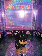   Ganz / Webkinz / "Rottweiler" Dog Black  Tan Color HM183 8" Plush No Code.