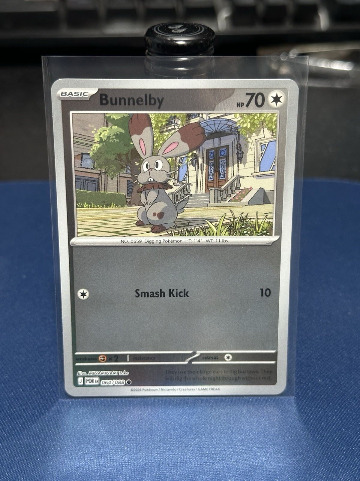 Bunnelby 064/088 - Reverse Holo - Pokémon TCG: Perfect Order - English NM