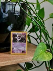 Pokémon Rocket's Mewtwo Holo 014/132 - Excellent Condition