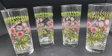 Portmeirion Botanic Garden  Hi Ball Glasses  Set Of 4 ( 2 Treasure & 2 Cyclamen 