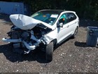 Bild 2 von 12