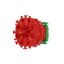 Bild 6 von 12