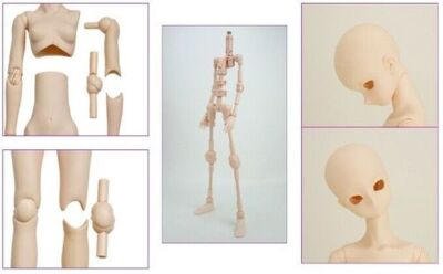 OBITSU - caora Obitsu Doll 27cm Obitsu Body Female SBH Bust Size M Natural