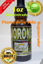 1oz Moronel Concentrado Planta de La Vida  Natural support moronel extract